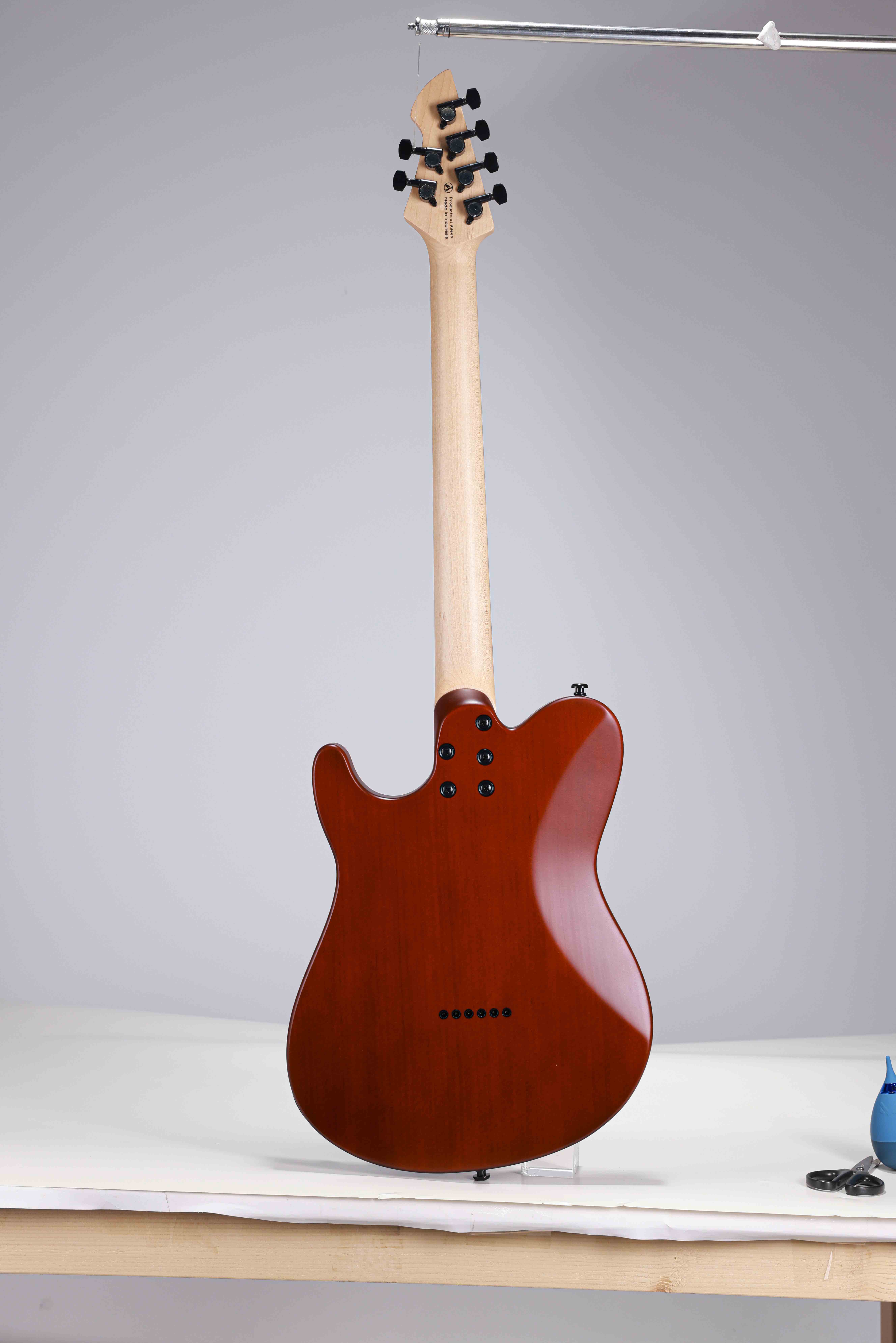 WGT EX80-AA Winzz Exotic Collection Agatis Body Chapa de Amara Guitarra eléctrica superior Fabricada en Indonesia