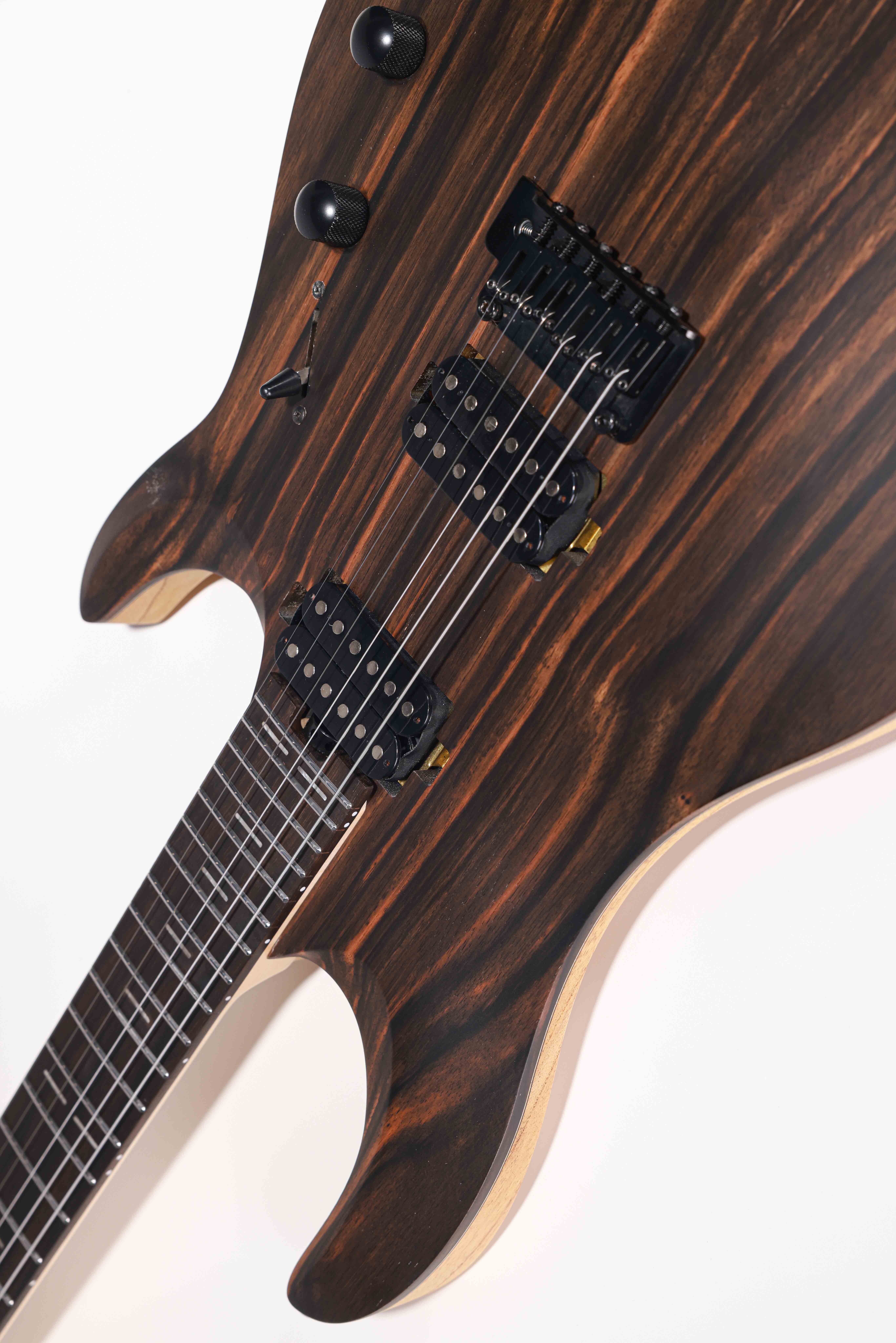 WZS EX80-ME Mindi Body Eboni (grosor: 12 mm) guitarra eléctrica superior con forma arqueada fabricada en Indonesia