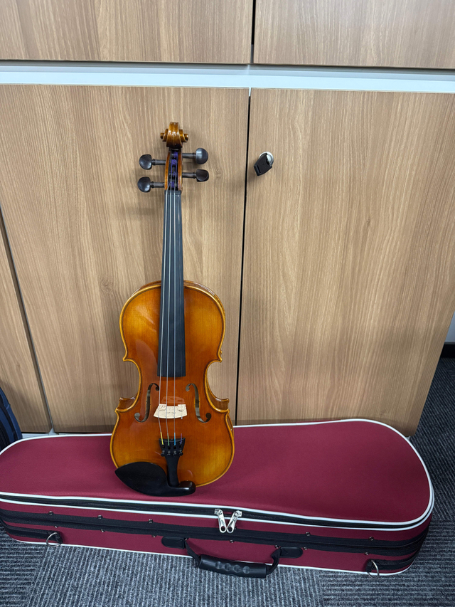 Violín profesional Legacy Series con puente Despiau LV01