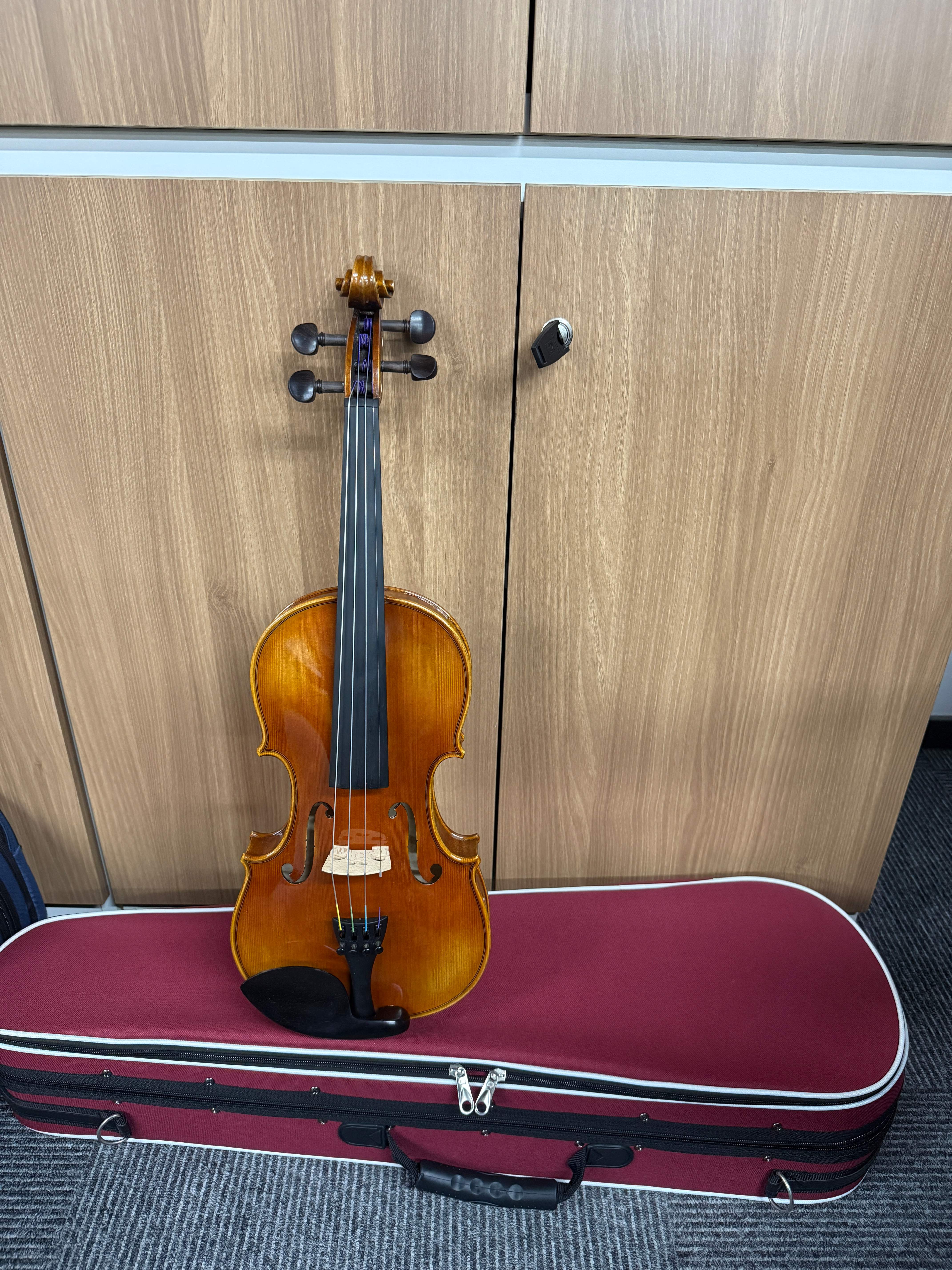 Violín profesional Legacy Series con diapasón de ébano LV01