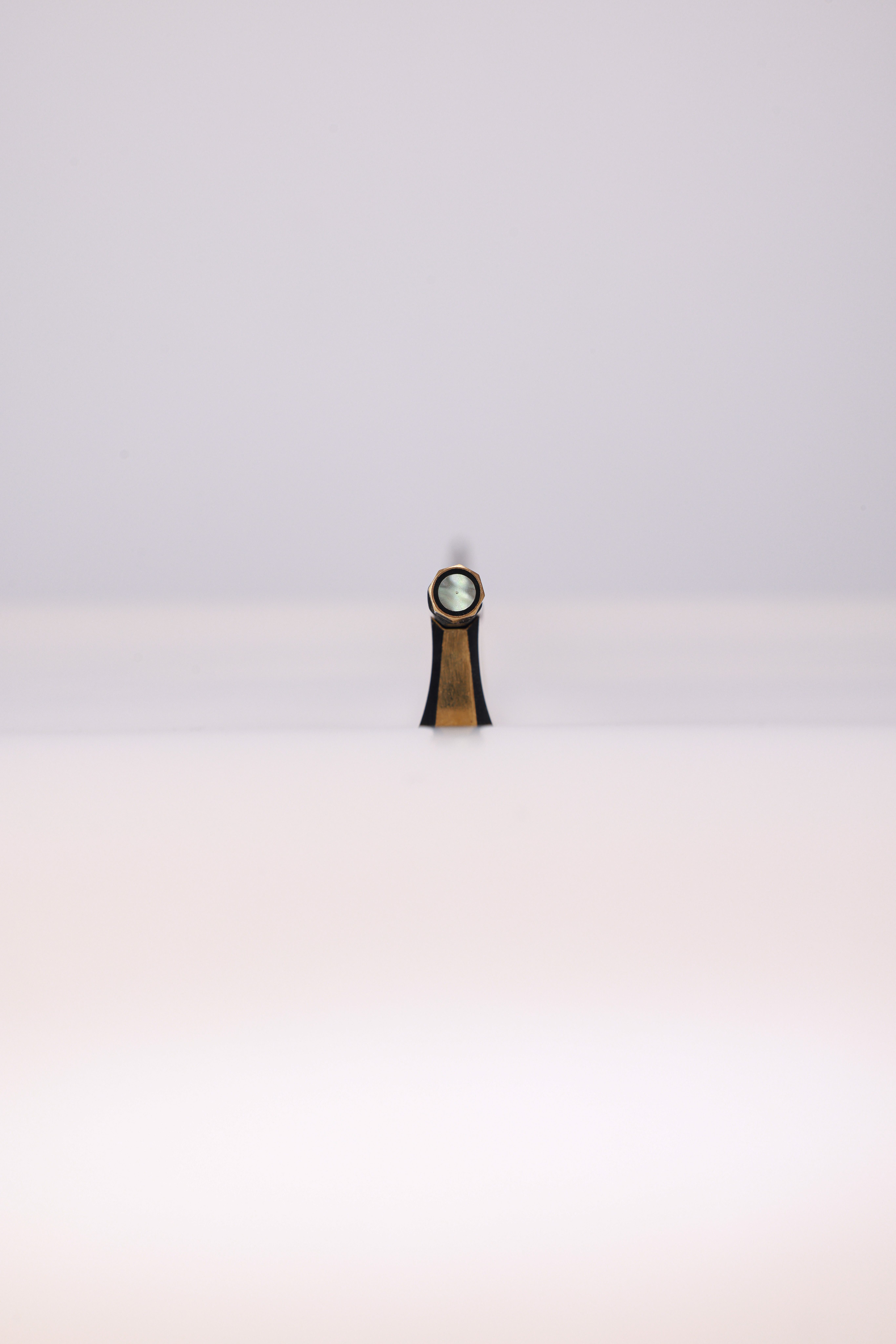 Arco de violín de fibra de carbono para estudiantes con rana de ébano y corredera de abulón (WV885C)