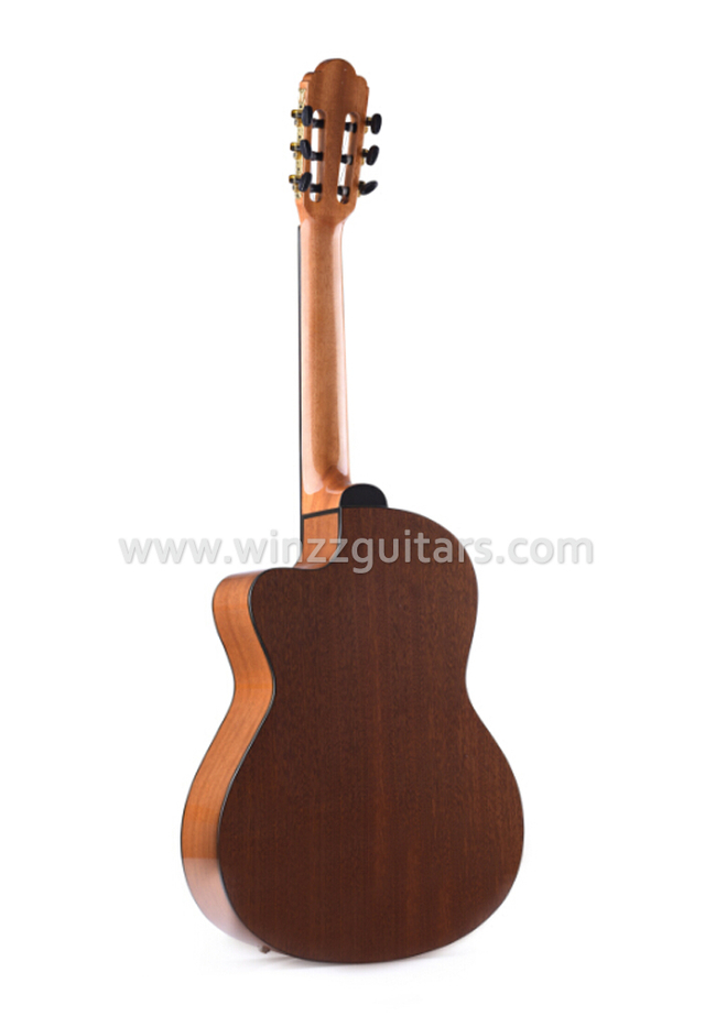 39 'Guitarra electro clásica de grado general recortado (AC309CE)