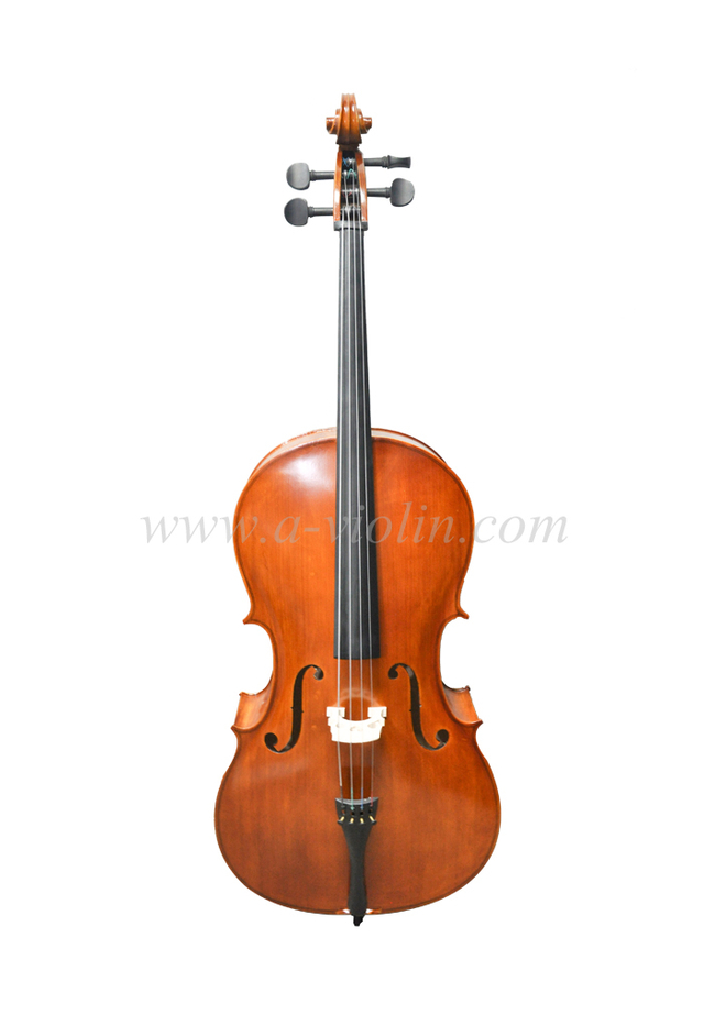 Célula de estudiante de cuerpo de madera de grado general al por mayor (CG001-HPM)