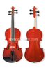 Violín acústico de estudiante de madera dura teñida (VG106)