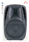 15 pulgadas 180W EQ Woofer Active Plastic Cabinet Speaker (PS-1518APR)