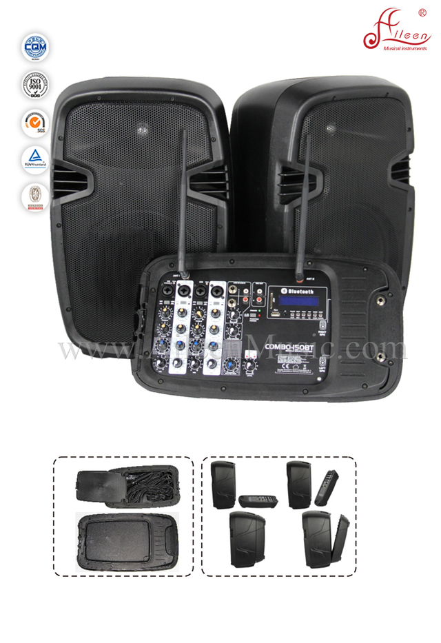 Woofer Active Amplified Professional Audio System (PPS-01200MT)