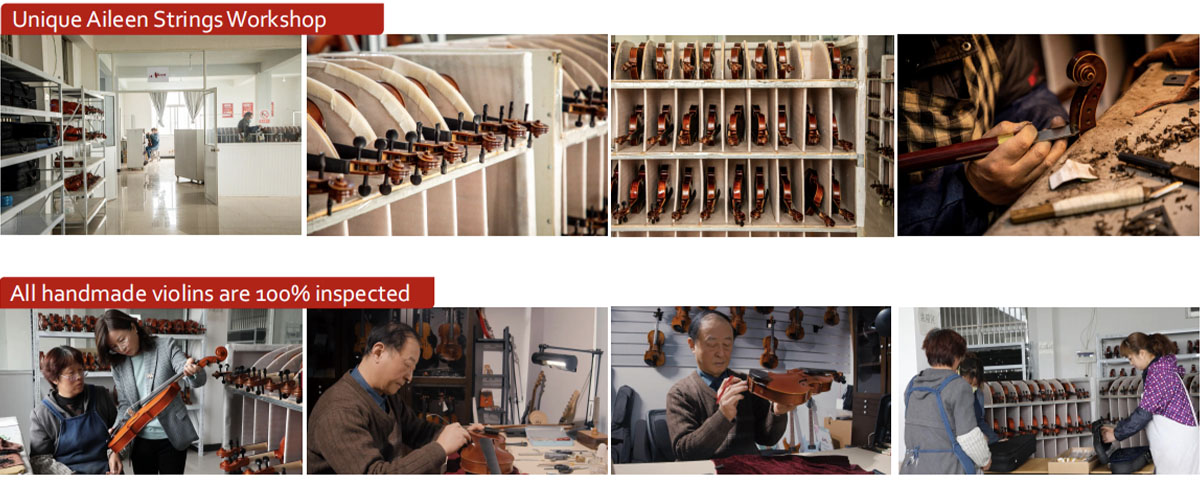 Fuerza de I+D de Aileen Muic