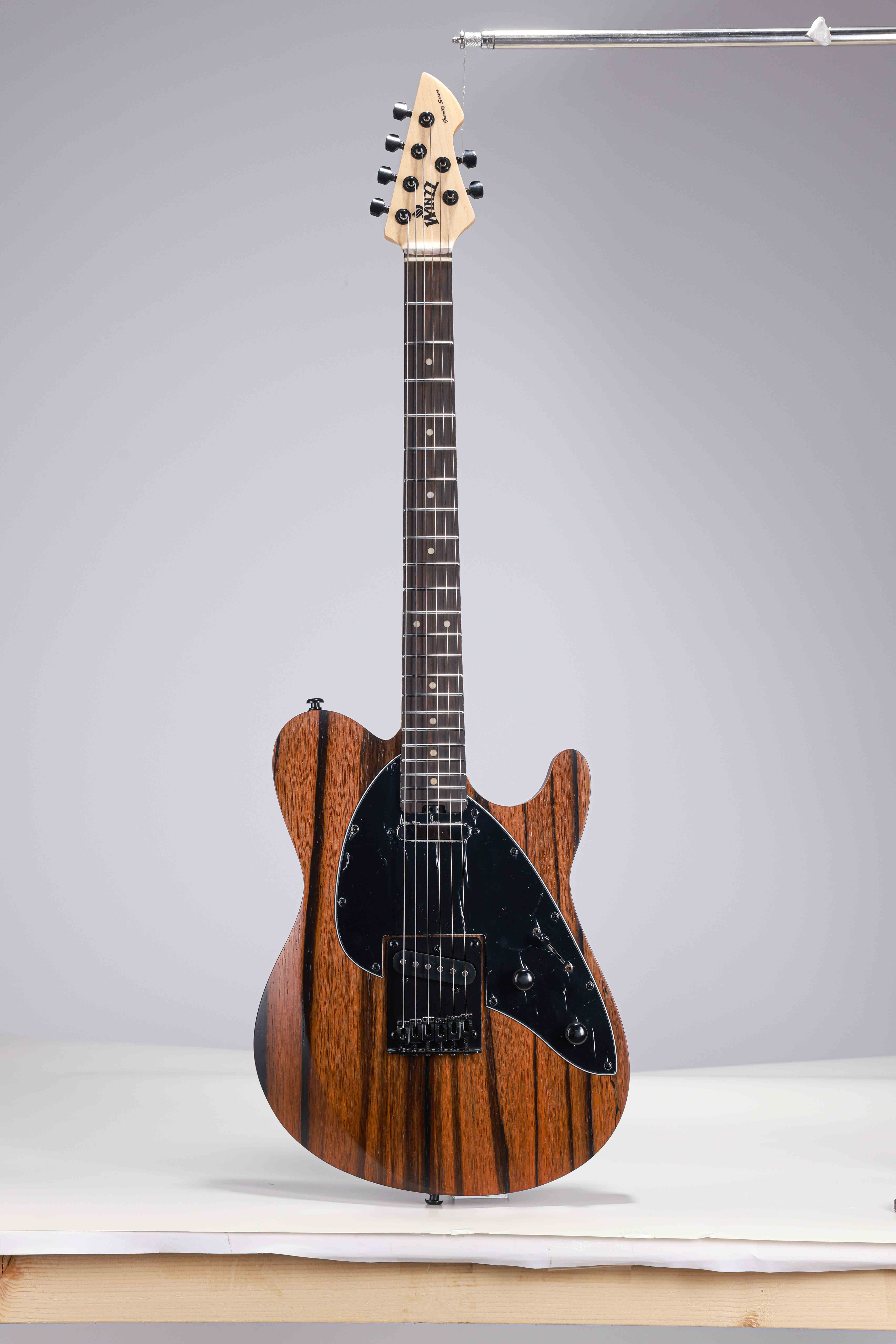 WGT EX80-AA Winzz Exotic Collection Agatis Body Chapa de Amara Guitarra eléctrica superior Fabricada en Indonesia