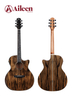 WAG901CE Winzz Exotic Material 41'' Guitarra acústica con forma GA 
