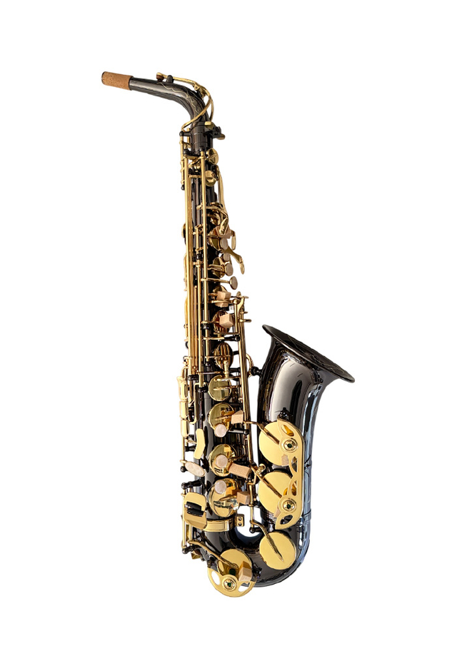 SP1001NB Los instrumentos musicales de buena calidad serán llave alto saxofón