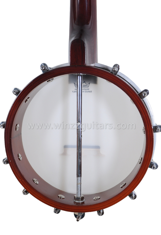 REMO Cabeza Mandolina Banjo (AB-12M)