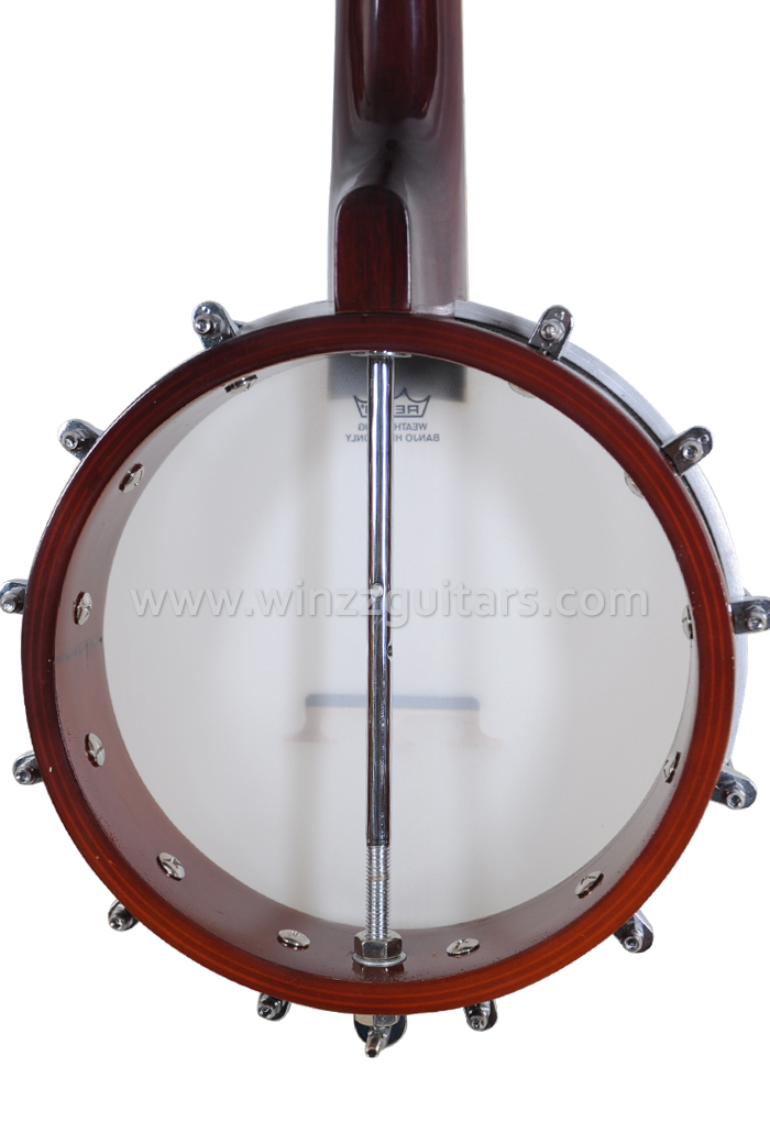 REMO Cabeza Mandolina Banjo (AB-12M)