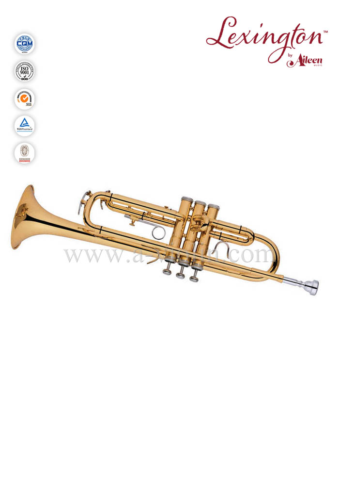 Trompeta profesional estilo americano con estuche premium (TP8394G)