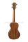Ukelele de concierto de madera contrachapada de Koa del este asiático (AU50L-23)