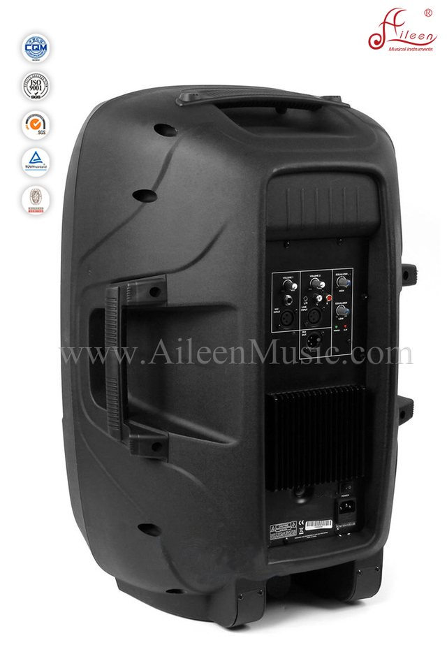 Altavoz PA activo para gabinete de plástico con control de potencia de 120 "y 120W (PS-1512AP)