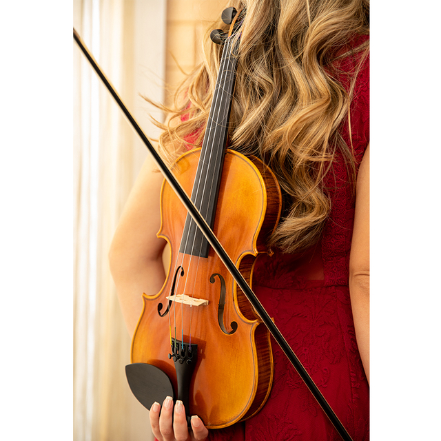 Volin avanzado hecho a mano profesional de alta calidad (AVL310HO)