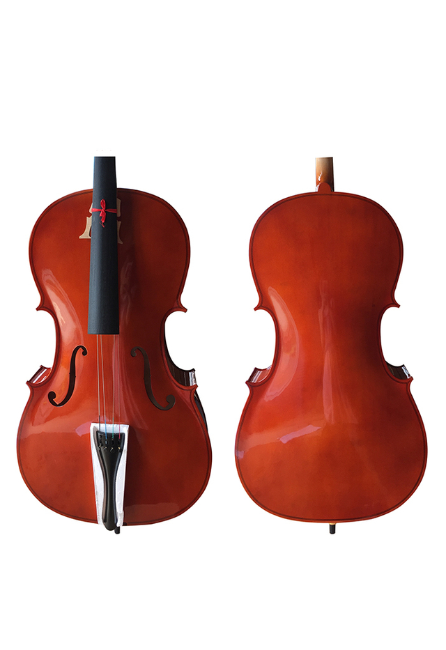 Instrumento de violonchelo 4/4 para estudiantes principiantes a la venta (CG001L)