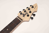 WGT EX80-AA Winzz Exotic Collection Agatis Body Chapa de Amara Guitarra eléctrica superior Fabricada en Indonesia