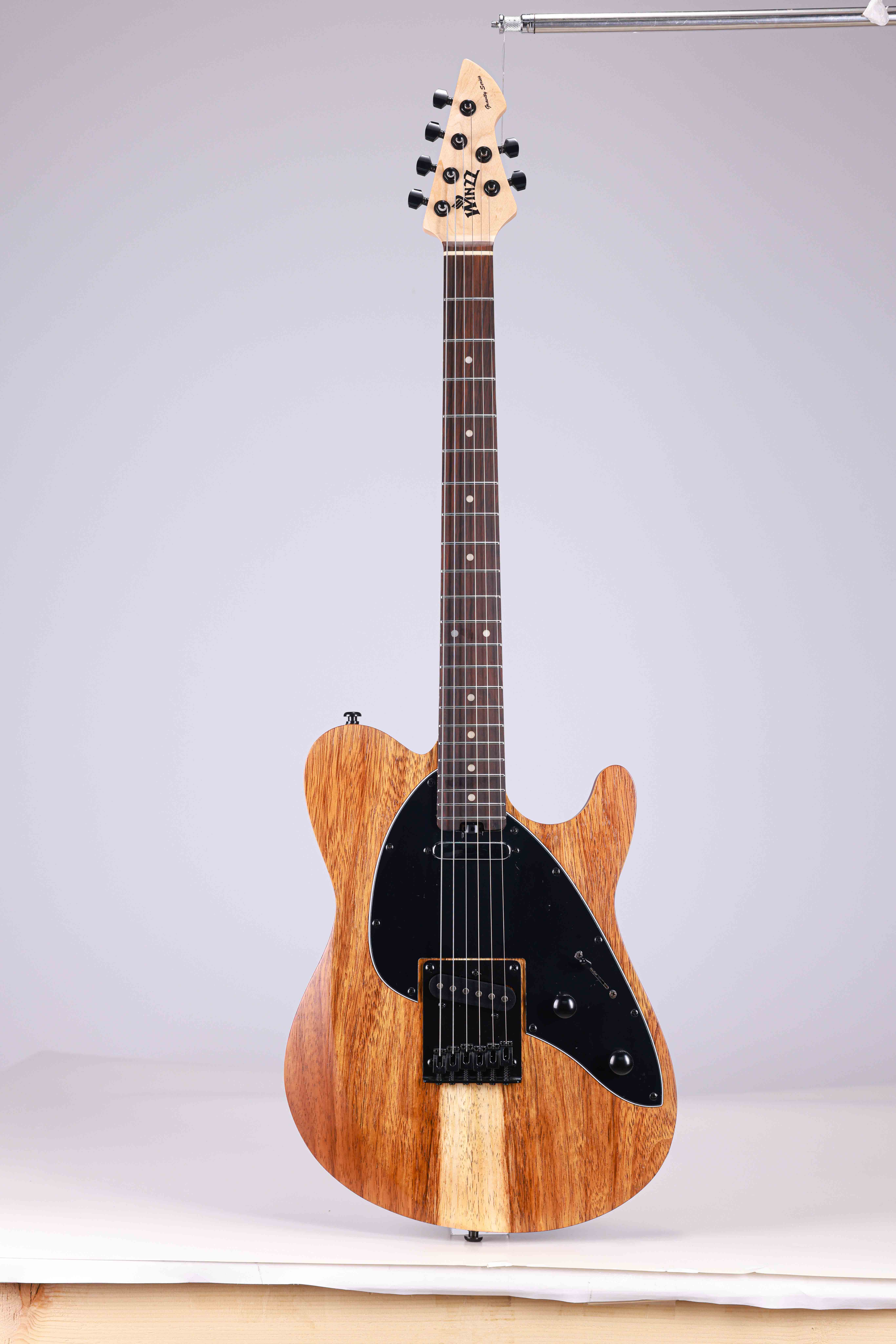 WGT EX80-AT Winzz Exotic Collection Agatis Cuerpo Chapa de teca Guitarra eléctrica superior Fabricada en Indonesia