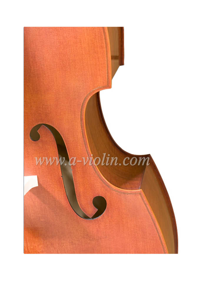 Gambe Shape Arched Back Flamed Hand Made Student Contrabajo (GDB102)