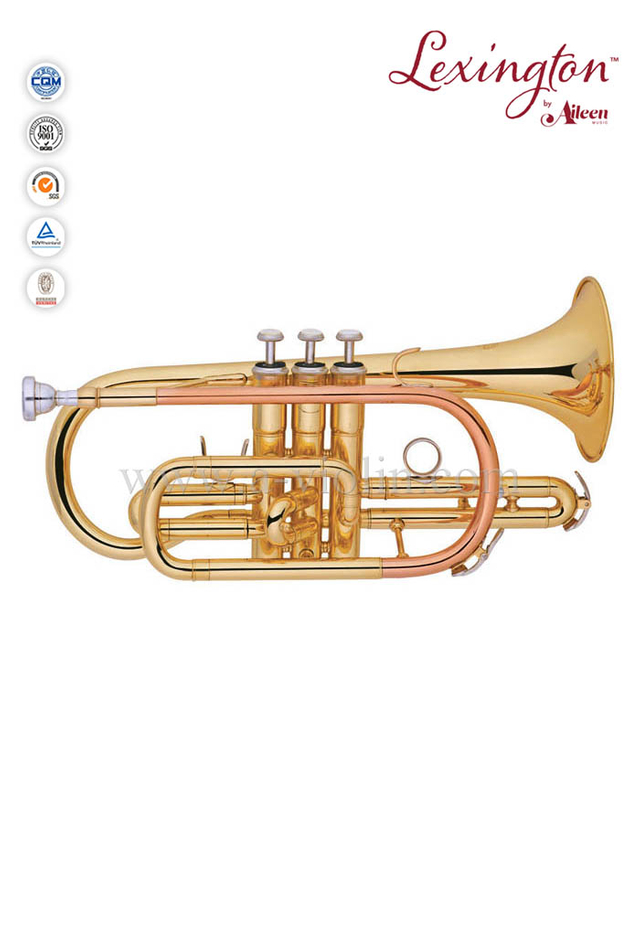 bB Estilo Y Corneta lacada de latón - Grado general (CN8711G)