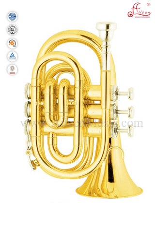 Mini trompeta bB Golden Lacquer con estuche Premium (HTP8501G)